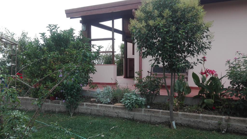 Agriturismo Collelungo Di Maremma Diaccialone Εξωτερικό φωτογραφία