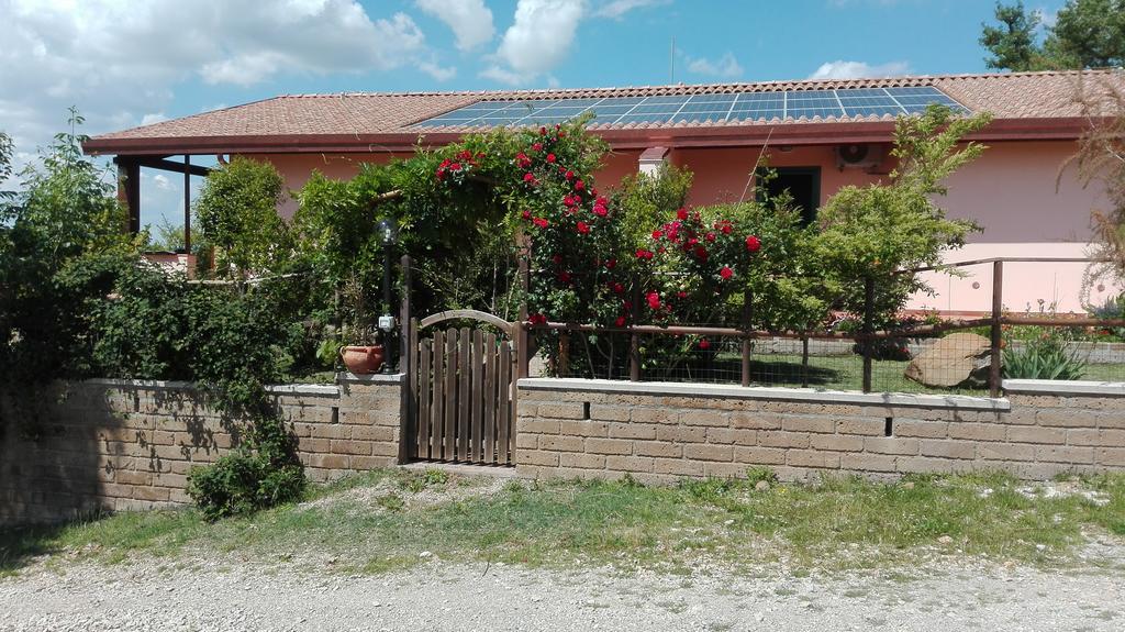 Agriturismo Collelungo Di Maremma Diaccialone Εξωτερικό φωτογραφία