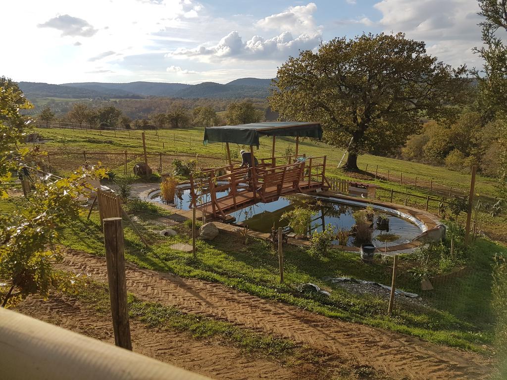 Agriturismo Collelungo Di Maremma Diaccialone Εξωτερικό φωτογραφία