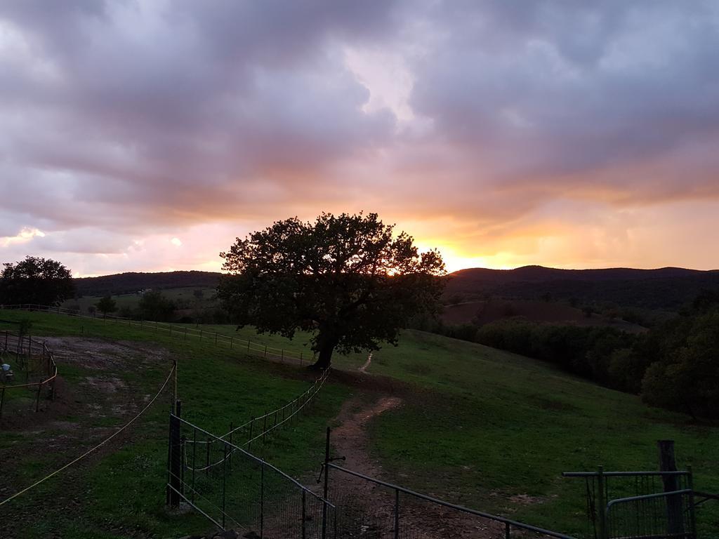 Agriturismo Collelungo Di Maremma Diaccialone Εξωτερικό φωτογραφία