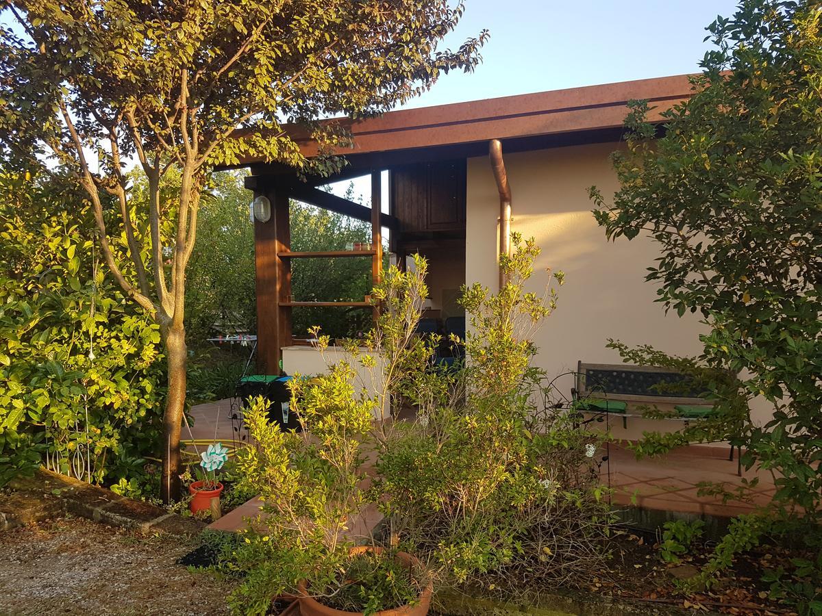 Agriturismo Collelungo Di Maremma Diaccialone Εξωτερικό φωτογραφία